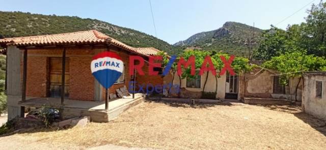 (For Sale) Residential Detached house || Argolida/Epidavros - 240 Sq.m, 3 Bedrooms, 49.000€ 