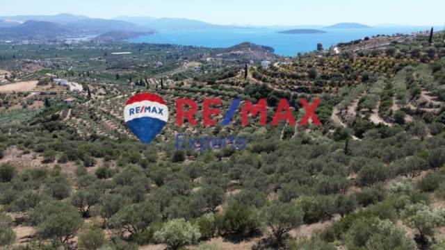 (Προς Πώληση) Αξιοποιήσιμη Γη Αγροτεμάχιο || Ν. Αργολίδας/Ασίνη - 10.802 τ.μ, 168.000€ 