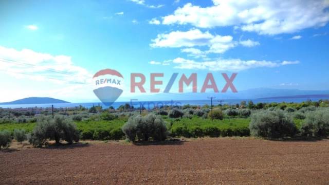 (For Sale) Land Agricultural Land  || Argolida/Asini - 5.360 Sq.m, 80.000€ 